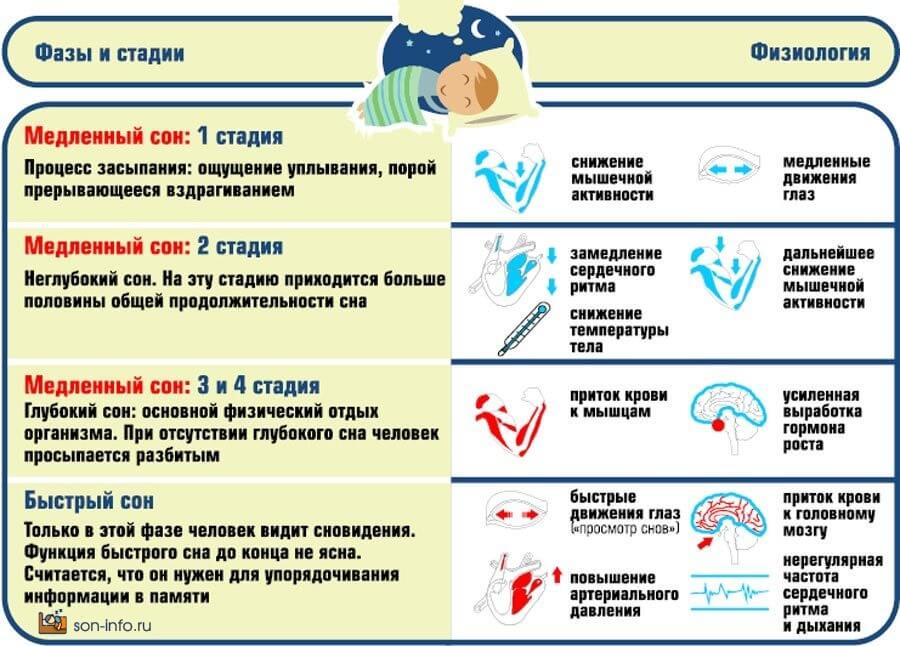 Диаграмма сна здорового человека